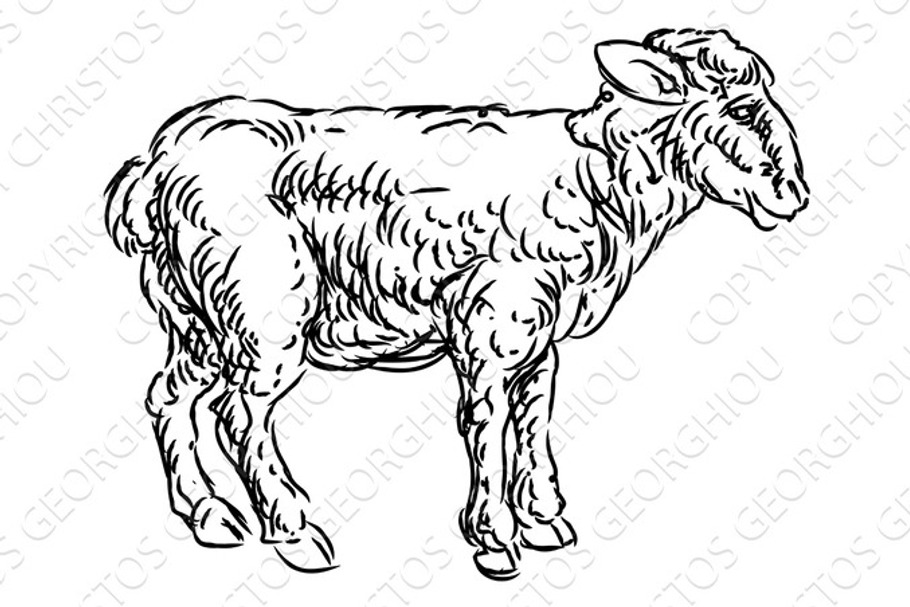 Lamb Sheep Food Grunge Style Hand Drawn Icon