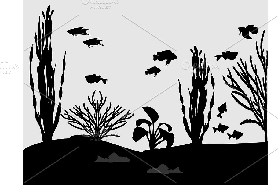 Aquarium in Illustrations - product preview 8