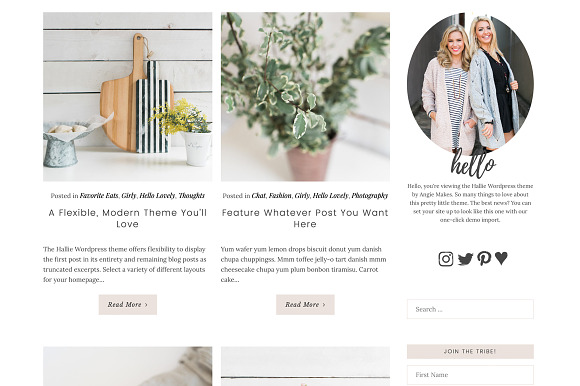 The Hallie Pro Wordpress Theme in WordPress Blog Themes - product preview 3