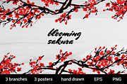 Blooming sakura traditional painting