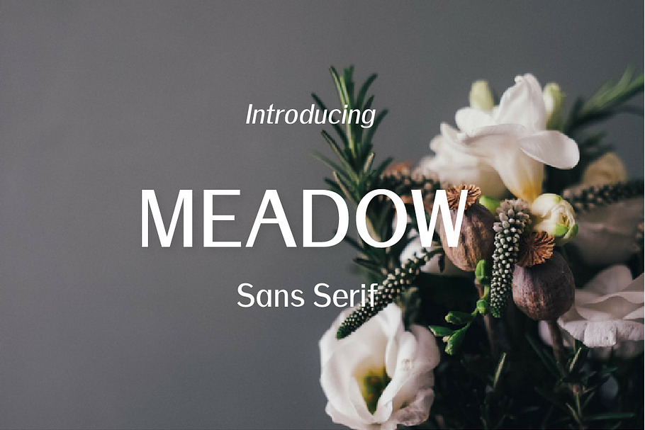 Meadow-Sans Serif font family in Sans-Serif Fonts - product preview 8