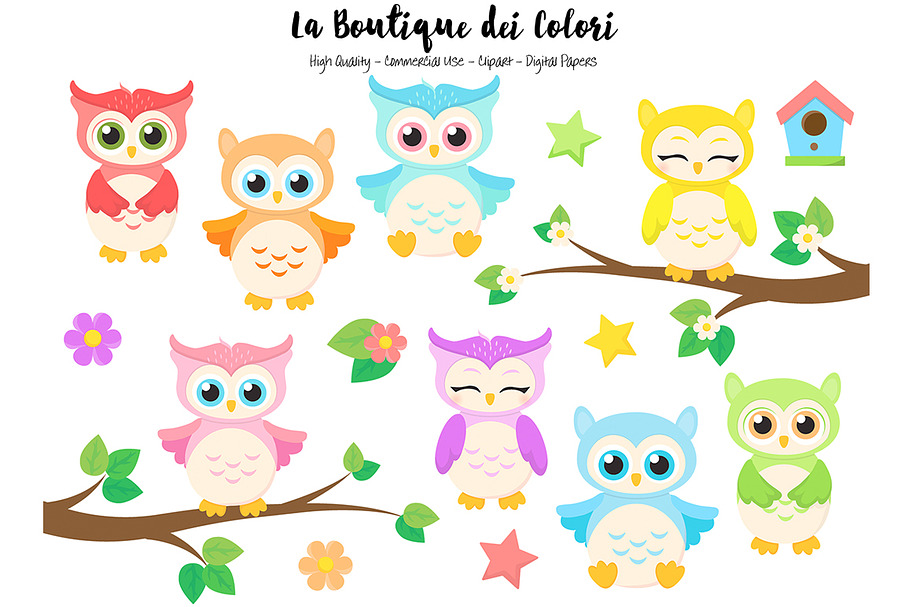 Cute Colorful Baby Owls Clipart