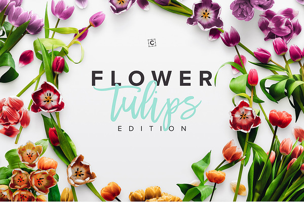 Flower Tulips Edition - Custom Scene