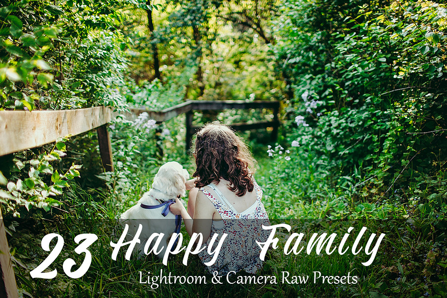23 Happy Family Lr & ACR Presets in Add-Ons - product preview 8