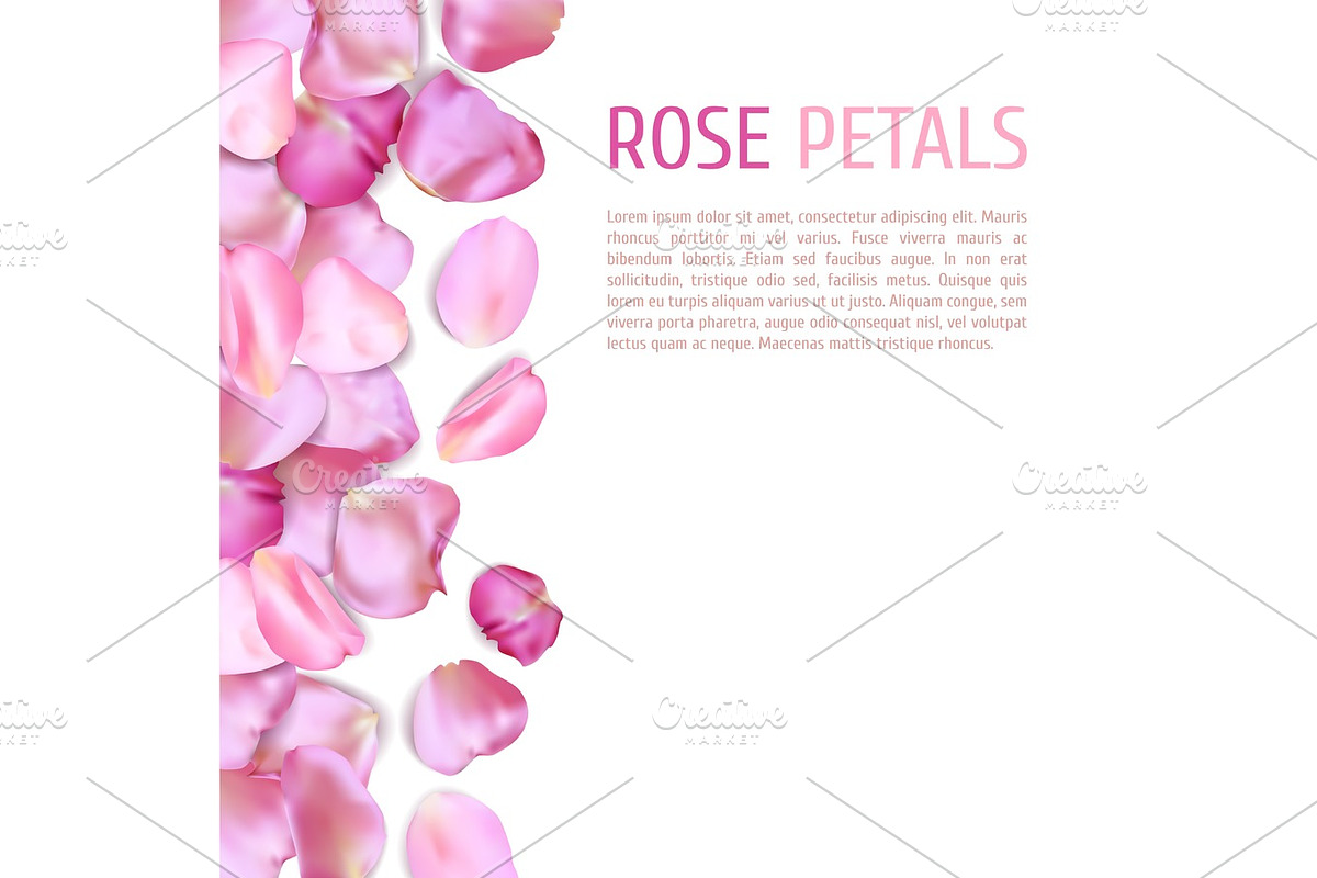 Pink Rose petals border in Illustrations - product preview 8