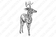 Vintage style woodcut stag deer