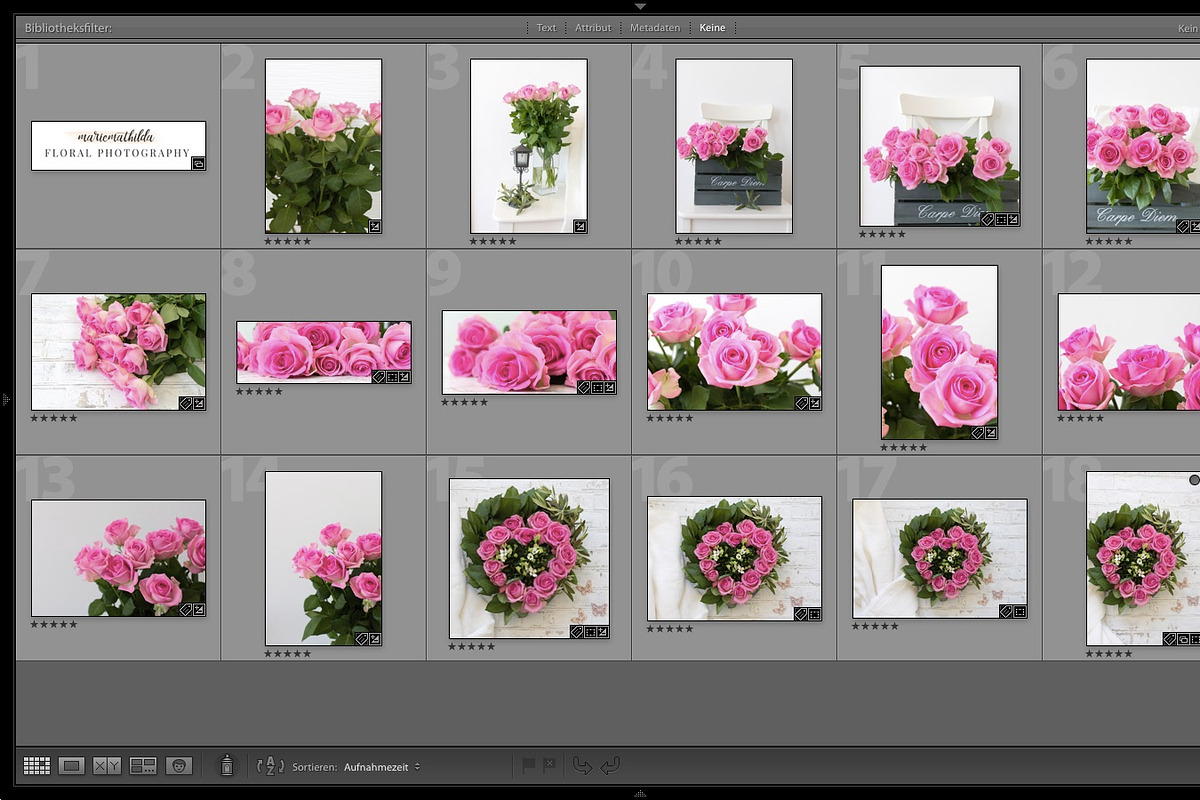 Pink Roses Collection in Graphics - product preview 8