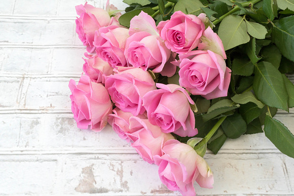Pink Roses Collection in Graphics - product preview 1