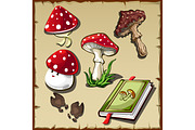 Set of poisonous mushrooms and cookbook