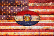 USA and Missouri flags.