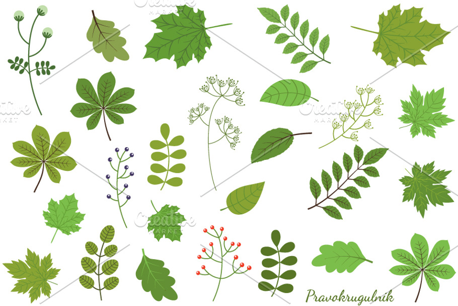 Green leaves - foliage clip art