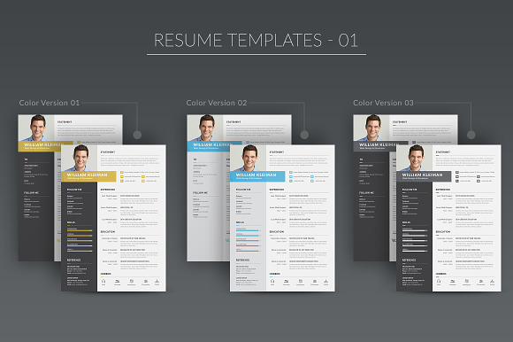 Resume/CV Minimal Bundle in Resume Templates - product preview 1