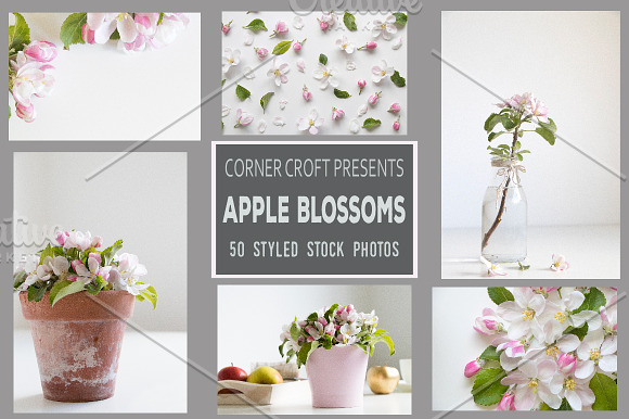 Apple Blossom Styled Photo Bundle in Mockup Templates - product preview 1