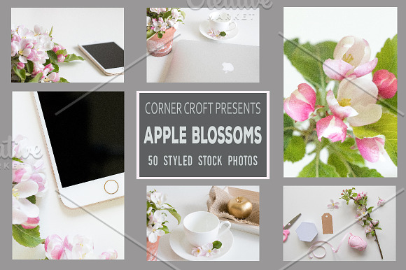 Apple Blossom Styled Photo Bundle in Mockup Templates - product preview 2