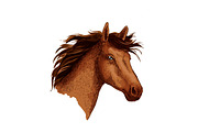 Arabian brown wild horse head vector sketch symbol