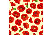 Vector poppy flowers blossoms seamless pattern