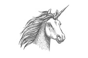 Unicorn vector sketch isolated head