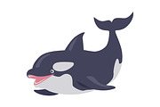 Killer Whale Cartoon Flat Vector Illustration