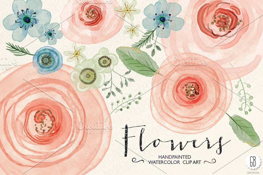 Watercolor flowers, ranunculus, rose