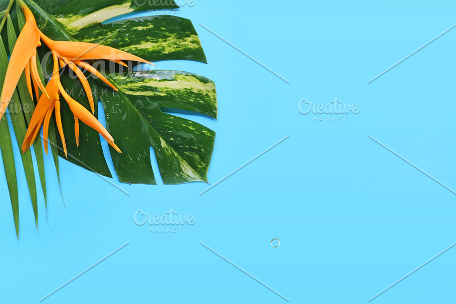 tropical flowers in Mobile & Web Mockups - product preview 8