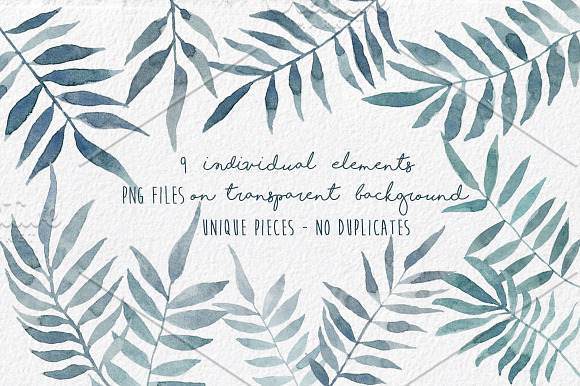 Palm Bundle. Leaves & Pattern in Illustrations - product preview 1