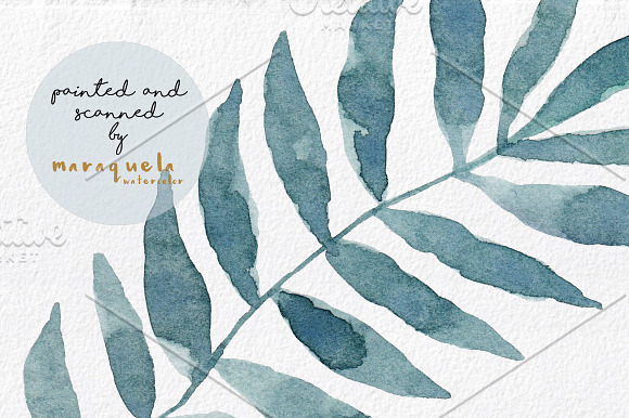 Palm Bundle. Leaves & Pattern in Illustrations - product preview 3
