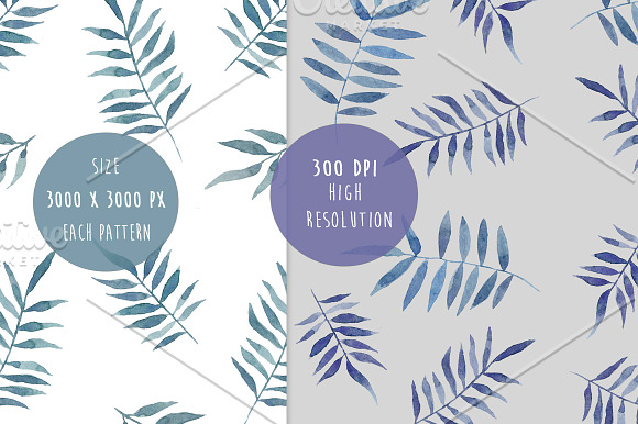 Palm Bundle. Leaves & Pattern in Illustrations - product preview 5