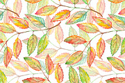 Watercolor rowan leaf plant pattern