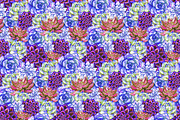 Watercolor succulent plant pattern