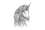 Unicorn fantastic horse sketch for tattoo design