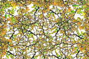 Intricate Nature Collage Seamless Pattern