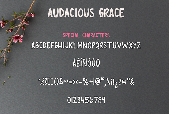 Audacious Grace Font in Script Fonts - product preview 3