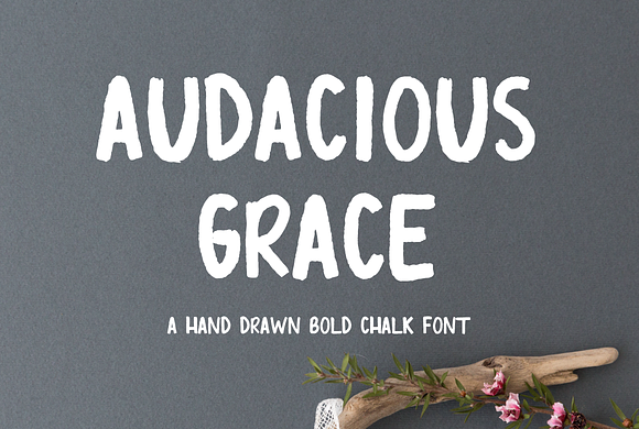 Audacious Grace Font in Script Fonts - product preview 4
