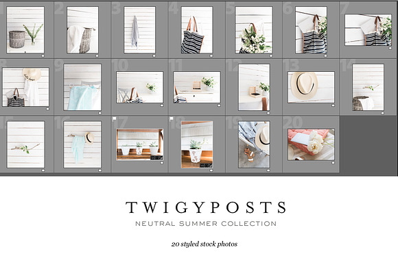 Neutral Summer Stock Photos in Instagram Templates - product preview 3