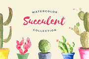Watercolor Succulent Collection