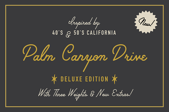 Palm Canyon Drive | Script & Glyphs in Retro Fonts - product preview 8