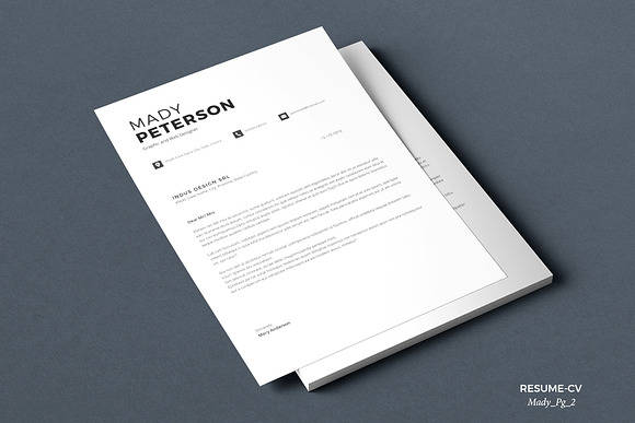 Resume Mady in Resume Templates - product preview 4