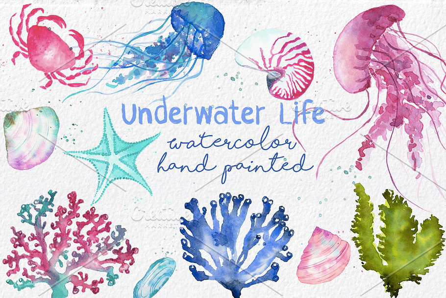Underwater Life ClipArt Watercolor 