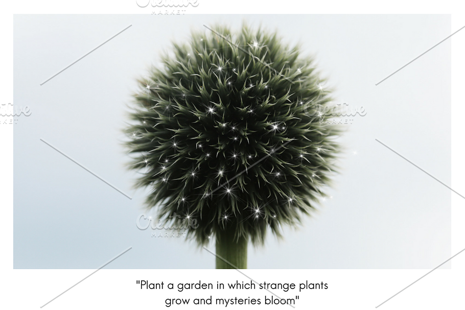 PLANTS & GROWTH Social Media Pack in Objects - product preview 8