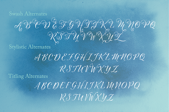 Cinque Donne Font Family in Script Fonts - product preview 5