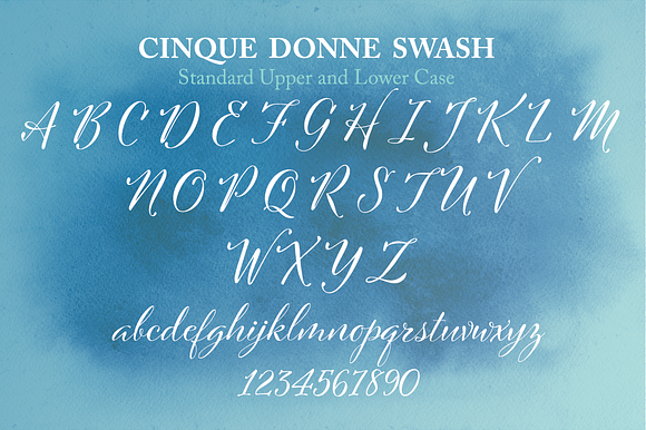 Cinque Donne Font Family in Script Fonts - product preview 6
