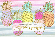 pineapple clip art