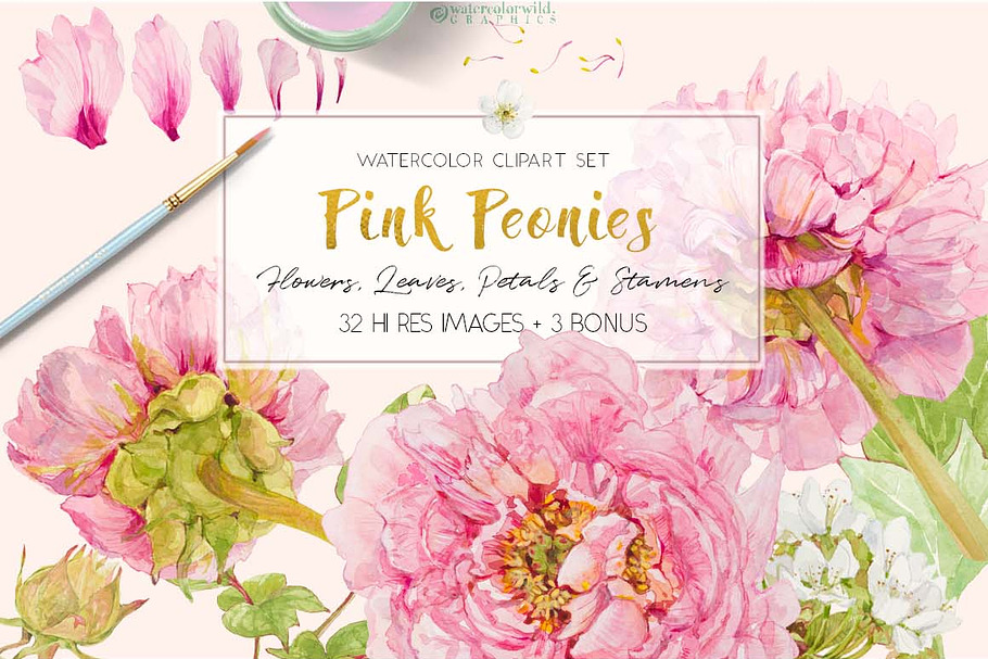 Pink Peonies-Clipart Set