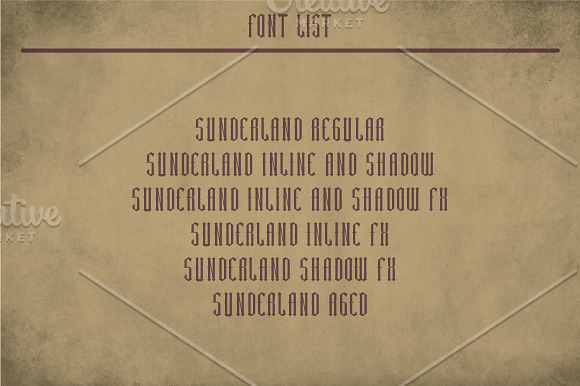 Sunderland Label Typeface in Display Fonts - product preview 5