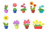 Cute spring flowers in pots vector