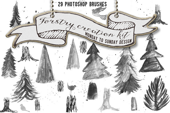 Forestry Design Kit- SALE! in Photoshop Brushes - product preview 3