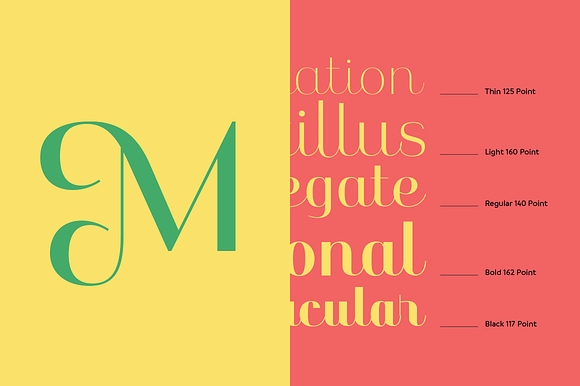 Karmilla Typeface in Display Fonts - product preview 2