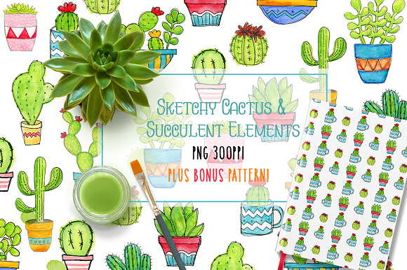 Cactus & Succulent Elements + Bonus in Illustrations - product preview 1