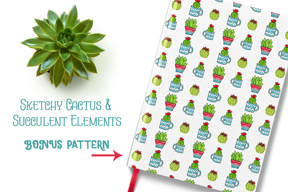 Cactus & Succulent Elements + Bonus in Illustrations - product preview 2