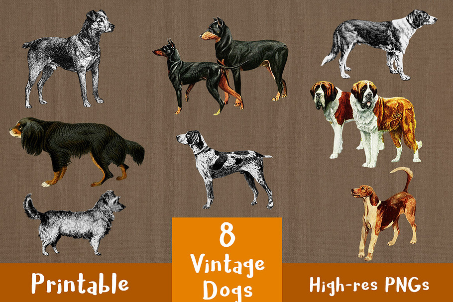 8 Vintage Dogs Clip Art